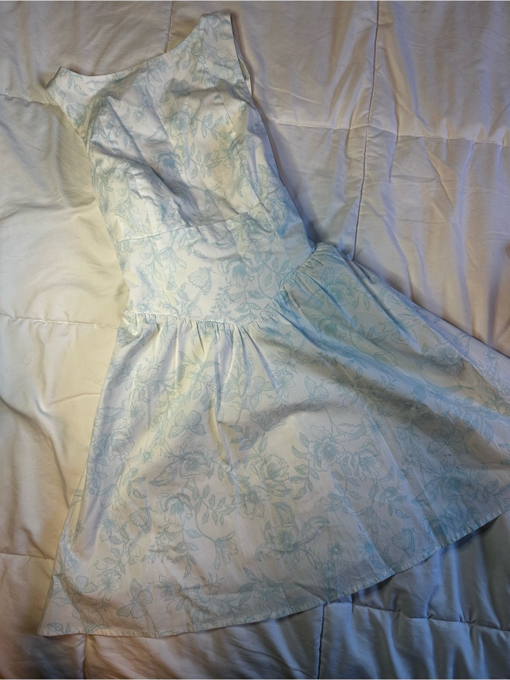 Wild Fable White and Blue Floral Fit-and-Flare Dress